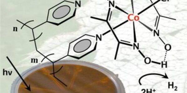 Article teaser image