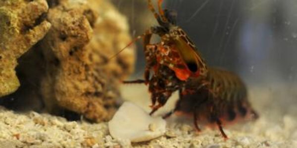 Article teaser image