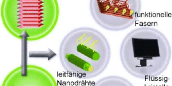 Article teaser image