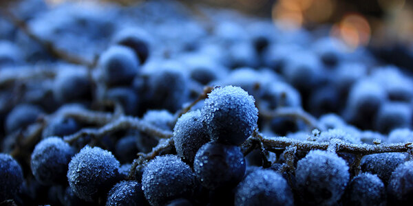 Article teaser image