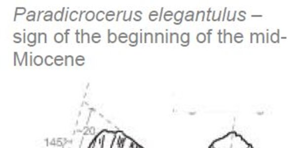 Article teaser image