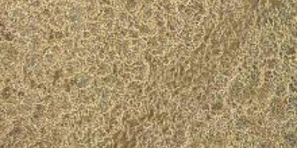 Article teaser image