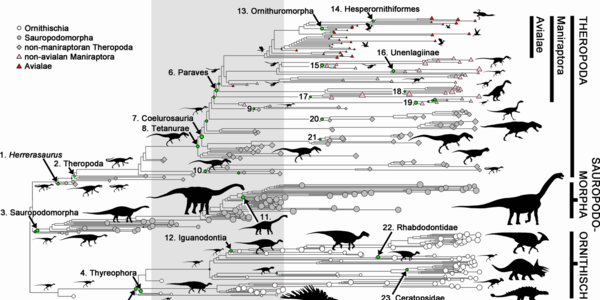 Article teaser image