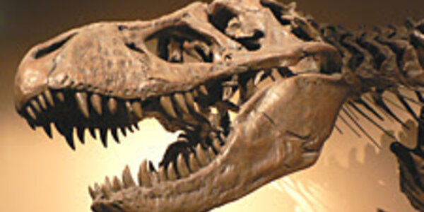 Article teaser image