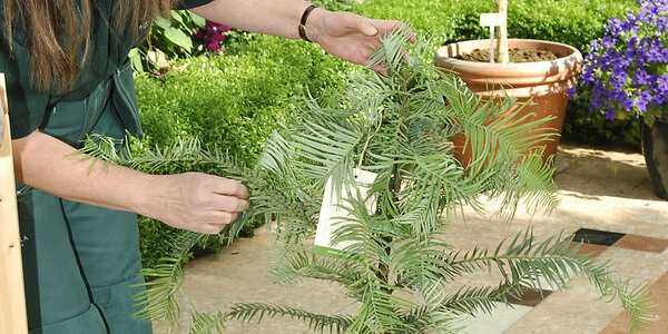 Article teaser image