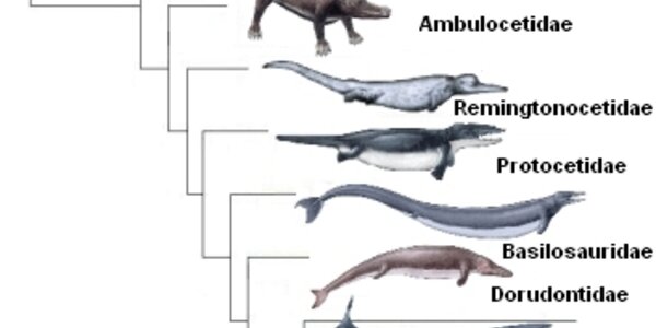 Article teaser image