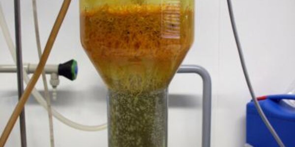 Article teaser image