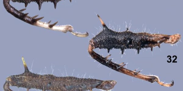 Article teaser image