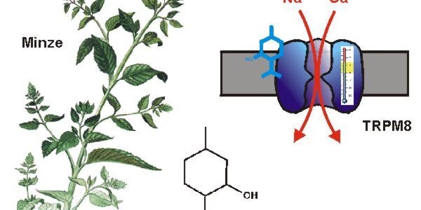 Article teaser image