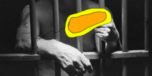 Article teaser image