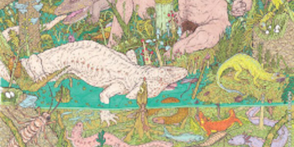 Article teaser image