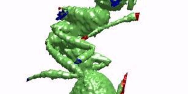 Article teaser image