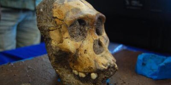 Article teaser image