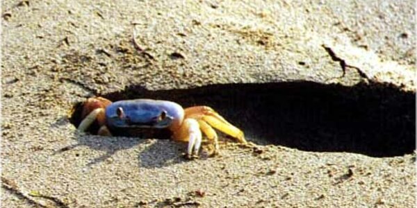 Article teaser image