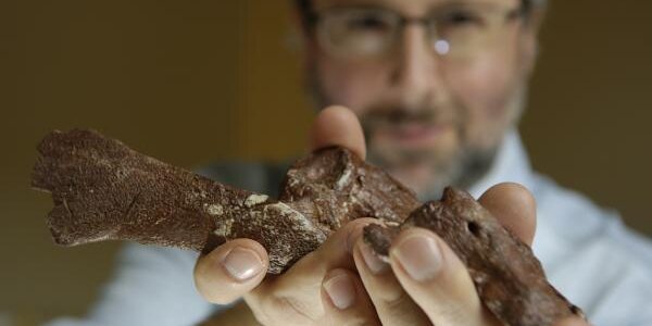 Article teaser image