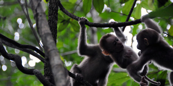 Article teaser image