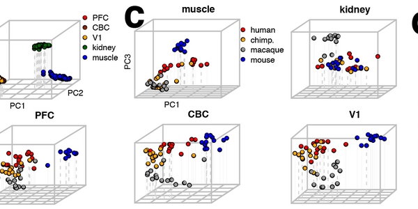 Article teaser image