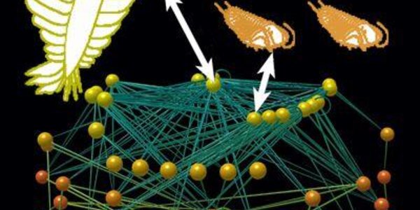 Article teaser image