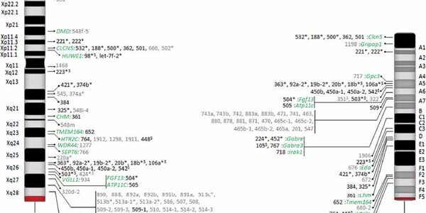 Article teaser image