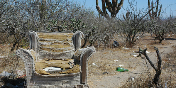 Article teaser image