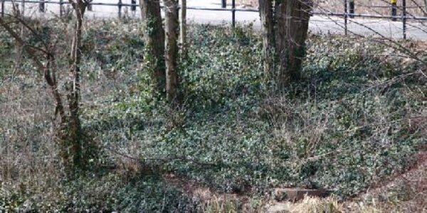 Article teaser image