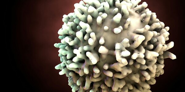 Article teaser image