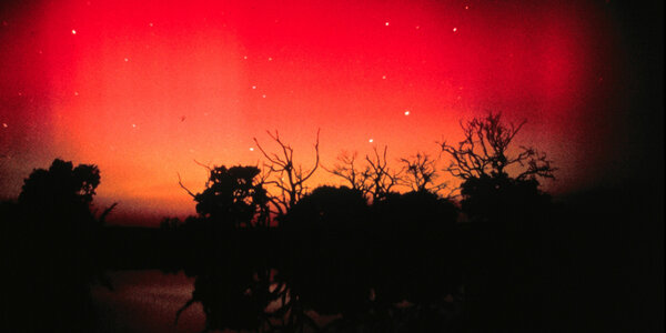 Article teaser image