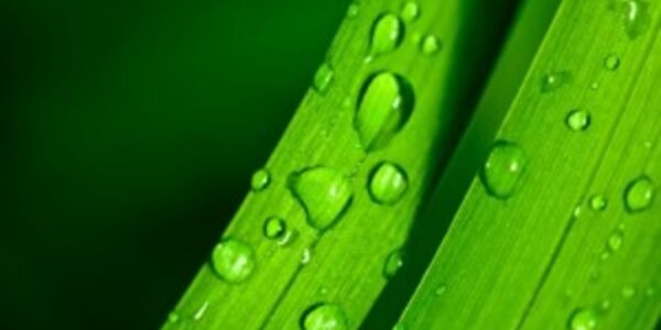 Article teaser image