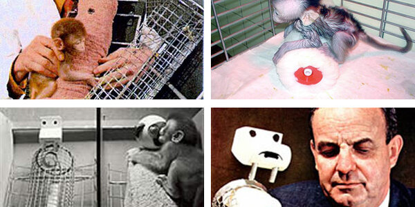 Article teaser image