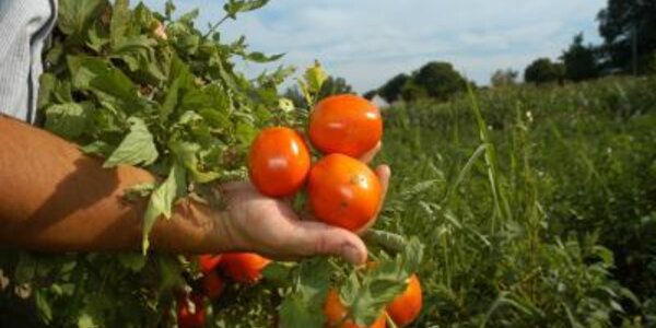 Article teaser image