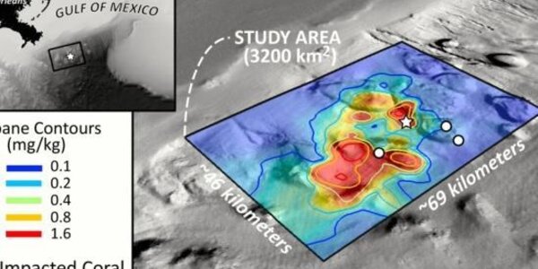 Article teaser image