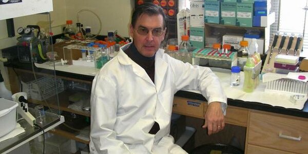 Article teaser image