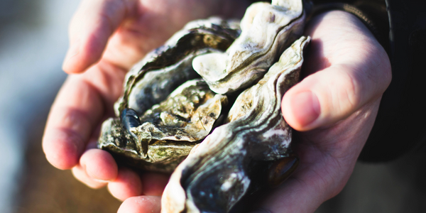 Article teaser image