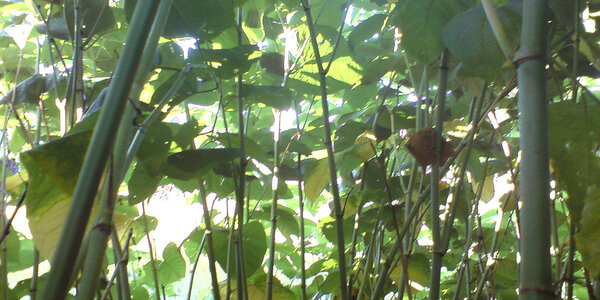 Article teaser image