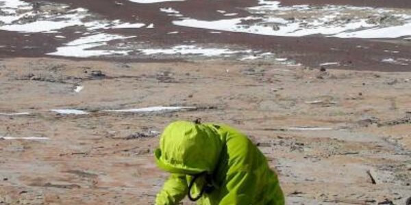 Article teaser image