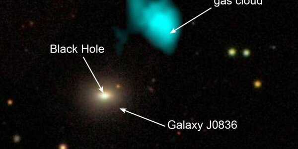 Article teaser image