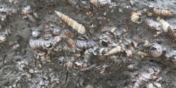 Article teaser image