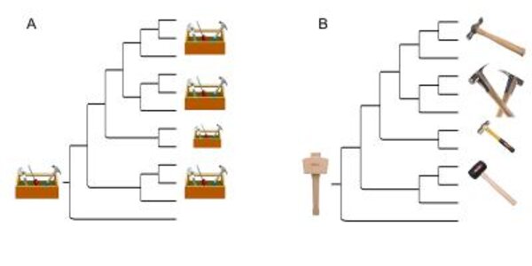 Article teaser image