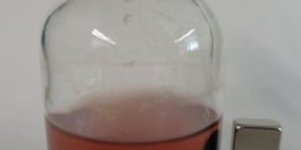 Article teaser image