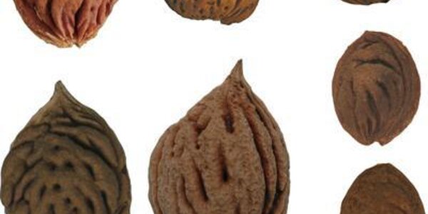 Article teaser image