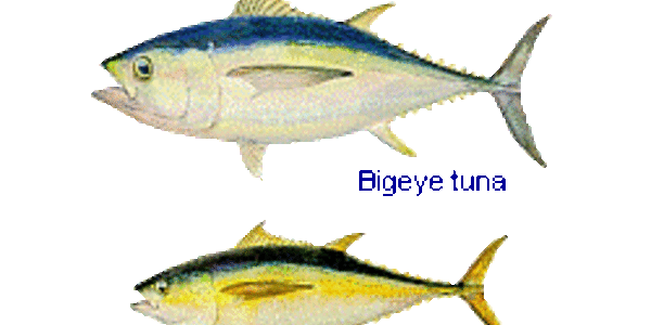 Article teaser image