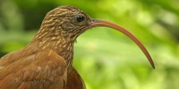 Article teaser image