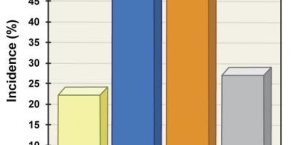 Article teaser image