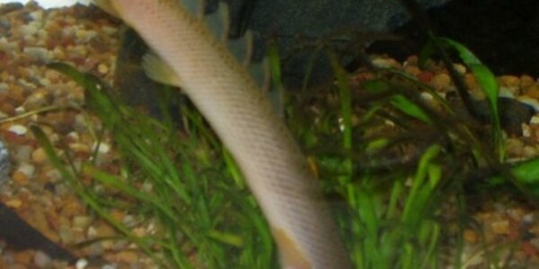 Article teaser image