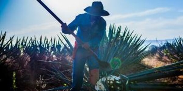 Article teaser image