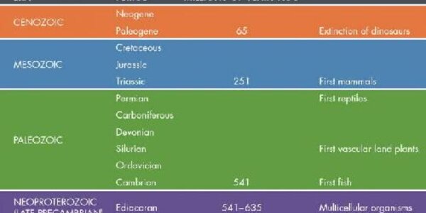 Article teaser image