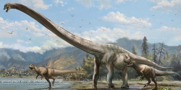 Article teaser image