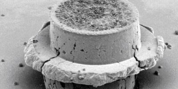 Article teaser image