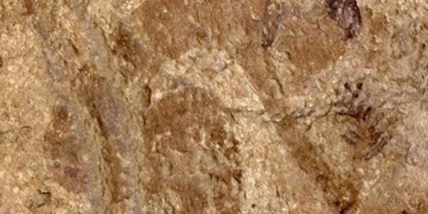 Article teaser image