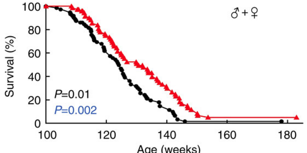 Article teaser image